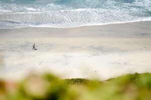 San Diego Wisdom Teeth Removal: Coastal Comfort Recovery Tips