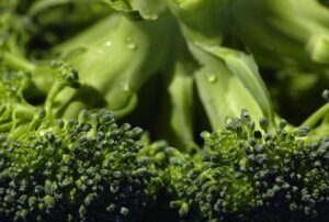 Can I Eat Broccoli After Wisdom Teeth Removal? Post-Op Diet Suggestions