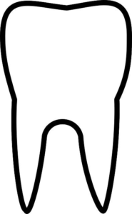 How to Remove a Molar Tooth? Dental Extraction Procedure Explained