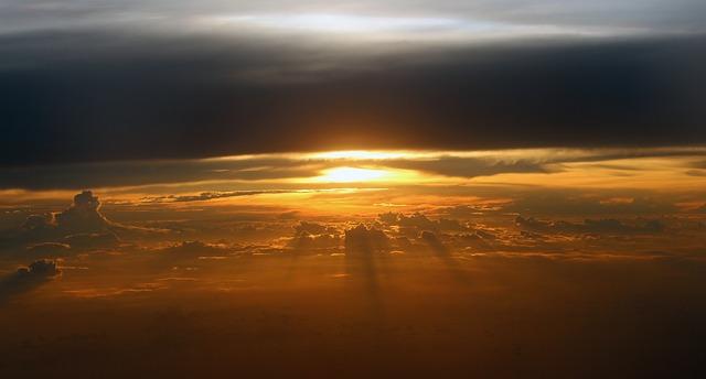 Wisdom Teeth Emergency Removal: Your Ultimate Guide to Quick Relief