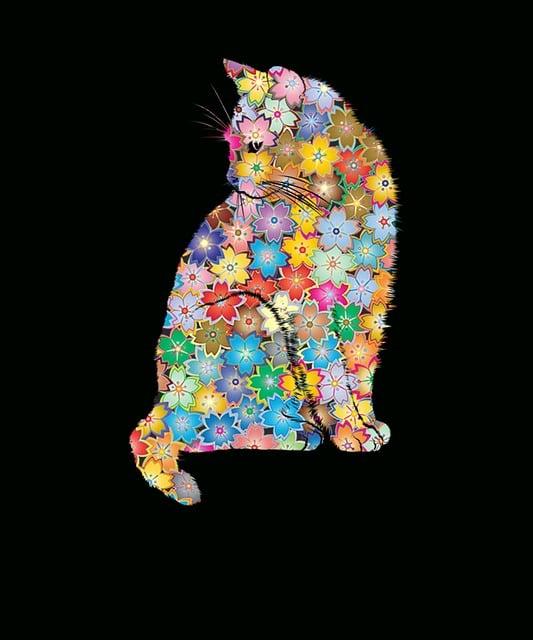 Wisdom Teeth Removal in El Dorado Hills, CA: Top-Rated Clinics Near You