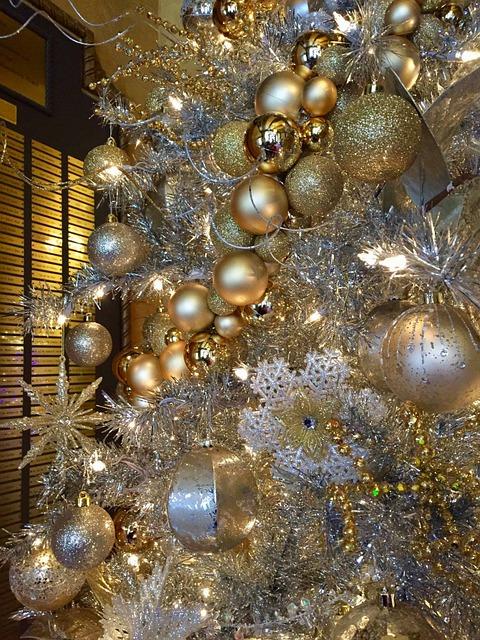 Wisdom Teeth Removal Fort Wayne: Local Dental Excellence