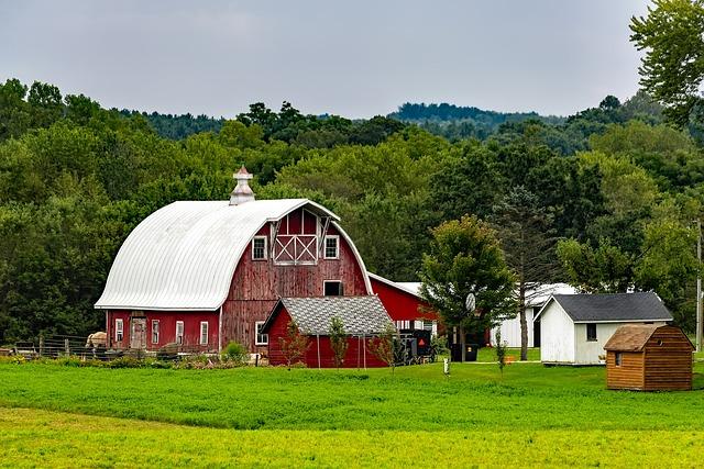 Amish Teeth Pulling Ritual: Exploring Cultural Practices!