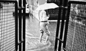 Can You Go to Work After Getting Wisdom Teeth Pulled? What You Should Know