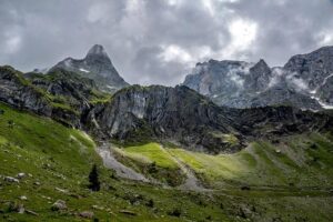 Wisdom Teeth Removal Rock Hill SC: Your Local Guide!