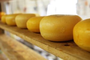 Cheese After Wisdom Teeth Removal: Soft Food Options