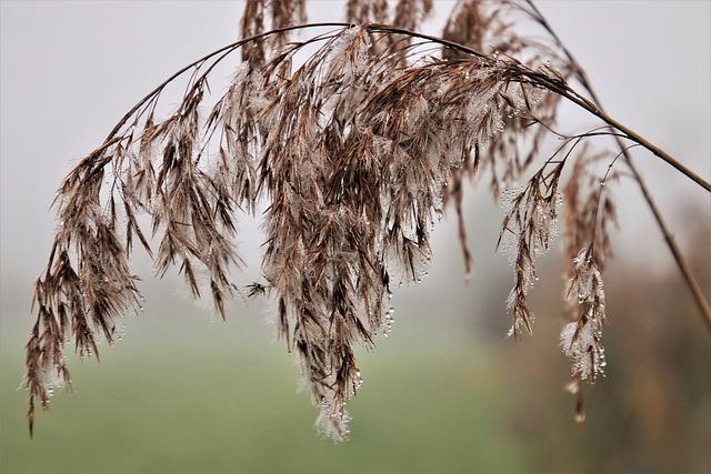 No Straws After Wisdom Teeth Removal: Why It’s Important