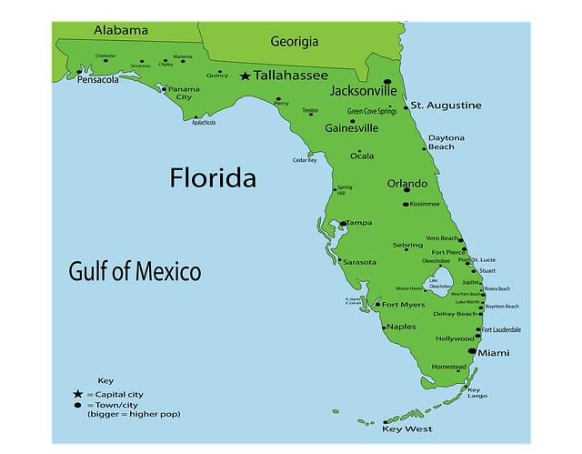 Wisdom Teeth Removal Tallahassee FL: Expert Dental Care